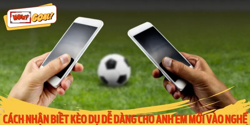 Cách nhận biết kèo dụ dễ dàng cho anh em mới vào nghề