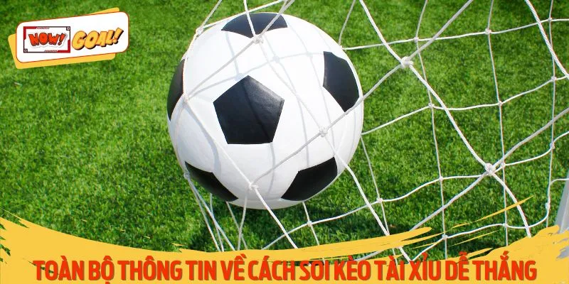 Toàn bộ thông tin về cách soi kèo tài xỉu dễ thắng