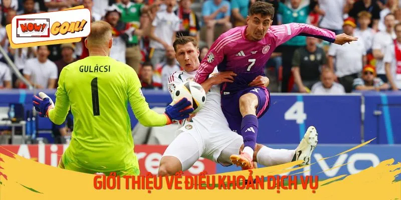 Hiểu rõ về danh mục điều khoản điều kiện