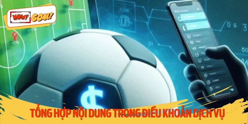 Đánh giá những điều khoản dịch vụ được nền tảng soạn thảo
