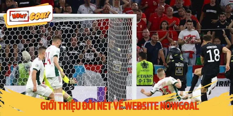 Những nét chính giới thiệu chung về trang web