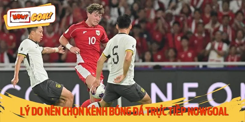 Tổng hợp những lý do nên chọn kênh bóng đá trải nghiệm