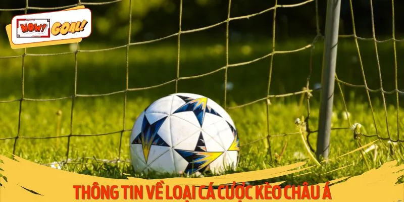 Thông tin về loại cá cược kèo châu Á