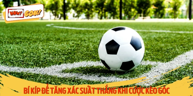 Bí kíp để tăng xác suất thắng khi cược kèo góc
