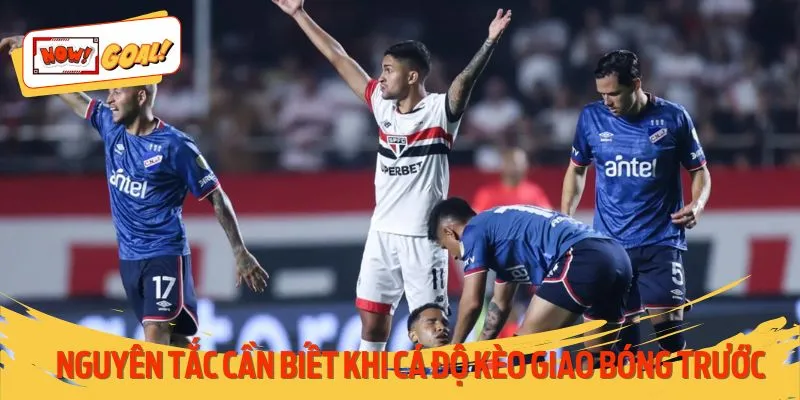 Tổng hợp những nguyên tắc nên nắm rõ khi cá độ