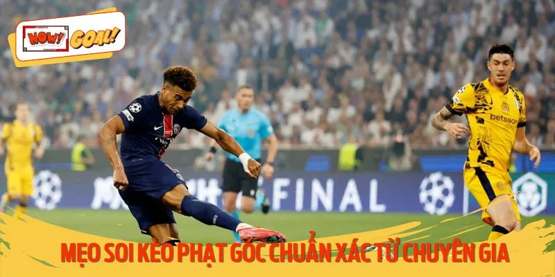 Top mẹo soi kèo phạt góc hay chia sẻ từ cao thủ