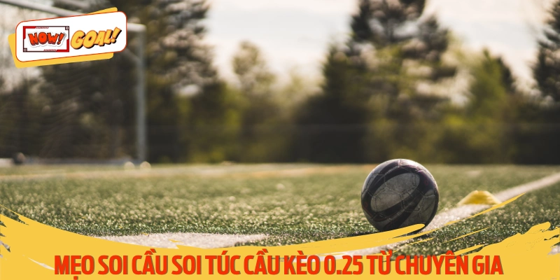 Tổng hợp mẹo đọc kèo bóng 1/4 giúp tăng tỷ lệ thắng