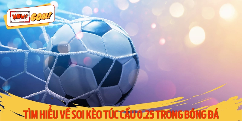 Chi tiết hình thức soi kèo túc cầu 0.25 trong cá độ bóng đá